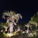 젠틀리조트 이미지