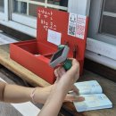 맨드라미 화단 | 강원도 강릉 가볼만한곳 오죽헌 관람 꿀팁 및 국가유산 방문 캠페인 오디오가이드 후기