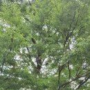 인곡경로당 이미지