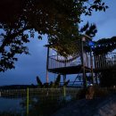 개멍물멍 이미지