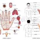 고려수지침요법학회 이미지
