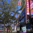 대호약국 | [울산 중구 필라테스] “솔필라테스” 주차장 넓고 강사 많은 필라테스 2회차 후기