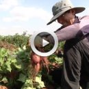 천천농장 이미지