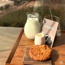 겨울아침창가에서 | 속초 울산바위 뷰 카페 더 엠브로시아 후기｜솔방울라떼·판나코타·창가 자리 팁