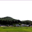 김복임