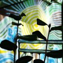 닥밭골 벽화마을 이미지