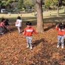 좋은열매 어린이집 이미지