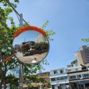 용신하우스 이미지