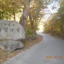 영원사-남대봉(1181m)-향로봉(1043m)-관음사[10.15.(목)] 이미지