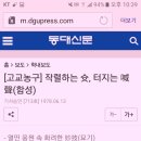 해성국제컨벤션고등학교 이미지