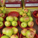 대지상회 이미지