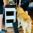 폴란드 일상 : <b>이사</b>준비 떠날준비 여행준비, 유럽 미군<b>이사</b> & 집빼고 호텔생활 시작!