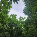 옥정 생태숲공원 이미지