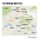 동래로 중앙일보
