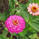 우이천 산책로 이미지