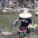 도락산장 이미지