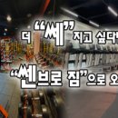 SSenbro gym(쎈브로짐) 이미지