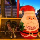 대부도 바다 애견 펜션 개꿀하우스 | 12월 크리스마스 갈만한곳 애견 펜션 추천