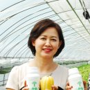 에이피텍 이미지