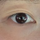 양주 옥정 속눈썹펌 속눈썹 연장 자연스럽게 잘 하는 곳 와이제이 브로우 솔직 후기