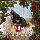 안강운동장 야외 화장실 | 화성 실내 애견운동장 추천 ! 아루스 강아지운동장｜천연잔디 야외까지 소형견 천국