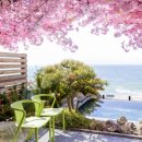 파라다이스 호텔 이미지