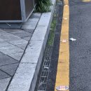 시내도로 이미지