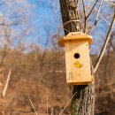 원수산 누리길 이미지