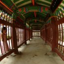 양씨삼강문 이미지