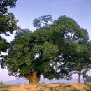 덕산초교 옆 이미지