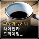 파푸아뉴기니 라이핀카 드라이밀 블루마운틴 커피원두 리뷰: 오렌지·그린티 향미와 추출 포인트 이미지