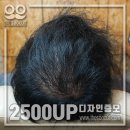 스타일아라 네이버블로그
