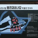 읍성3길 이미지