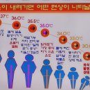 체온테라피 이미지