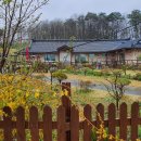 은하면 거산마을회관 이미지