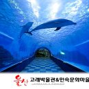 면목2동주민센터 3층 문화관람실 | 울산여행/장상포 고래박물관&amp;고래문화마을【18년12월22일】
