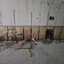 순환대로1 이미지