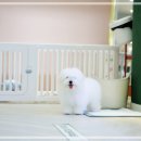 달링하이울산 이미지