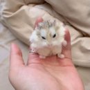 버르장머리 네이버블로그
