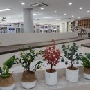 고운남측도서관 이미지