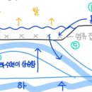 레이화 이미지