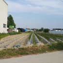 여주-1013 이미지