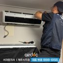 제주에닥