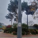 감일남로 이미지