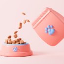 디자인펫샵 이미지