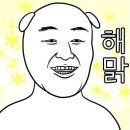 [블박] 죽기 싫으면 비켜 이미지