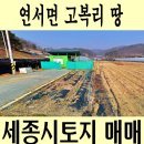 지성부동산공인중개사사무소 이미지