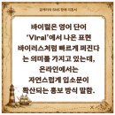 종합광고기획표현 | 바이럴 뜻이 궁금하다면? 광고 대행 시장의 구조와 업체 선정 체크포인트