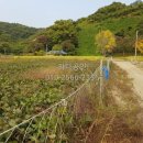정안IC(공주)