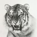 연필화(입문) 이미지